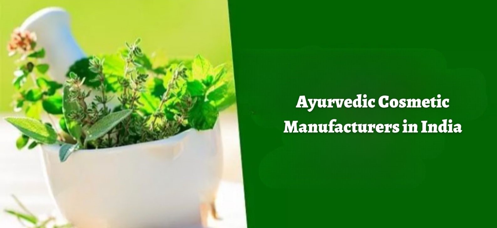 Ayurvedic Cosmetic Manufacturers in India Ikavans Healthcare