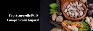 Top Ayurvedic PCD Companies in Gujarat